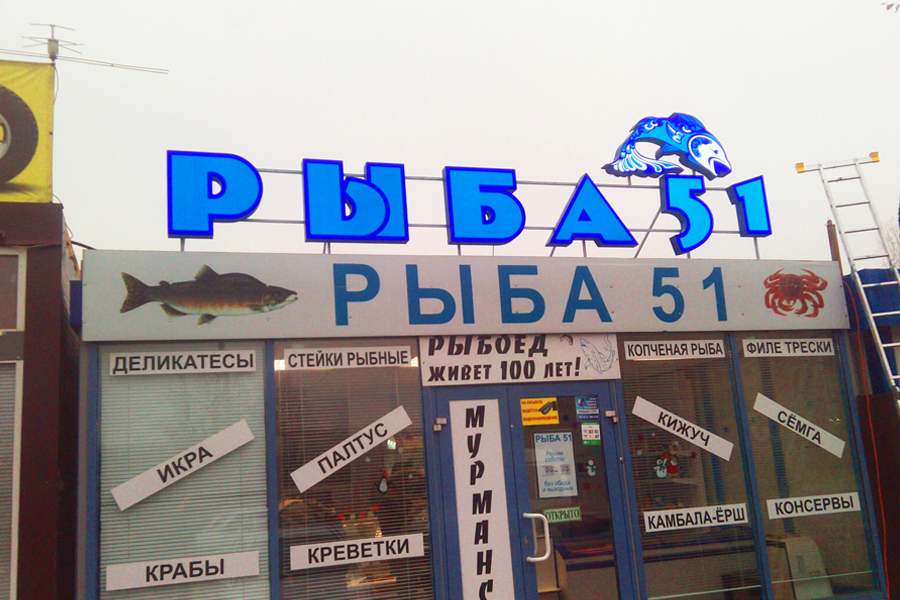 Рыба 51